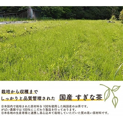 国産 すぎな茶　1個