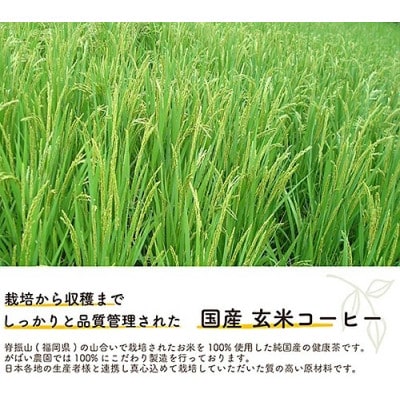 国産 玄米コーヒー 1個