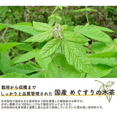 国産 めぐすりの木茶　1個