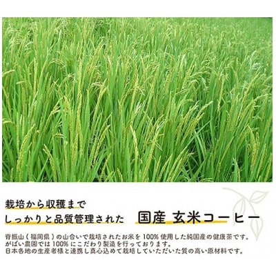 国産 玄米コーヒー(3個セット)