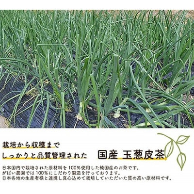 国産 玉葱皮茶(3個セット)