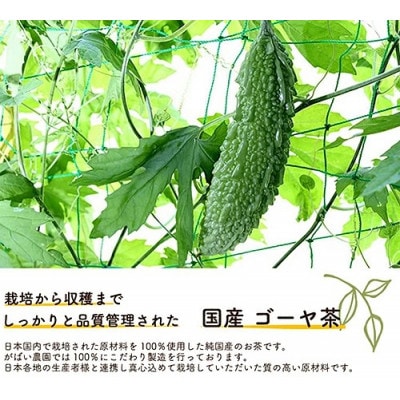 国産 ゴーヤ茶 1個