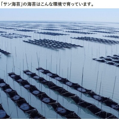 佐賀のり紫香燦燦(4袋入)