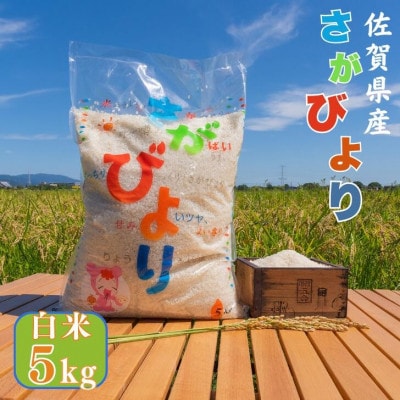 令和6年産 佐賀県産さがびより白米5kg