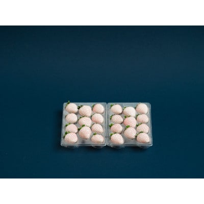 【2024年12月下旬より順次発送】佐賀県産いちご　パールホワイト220g×2パック