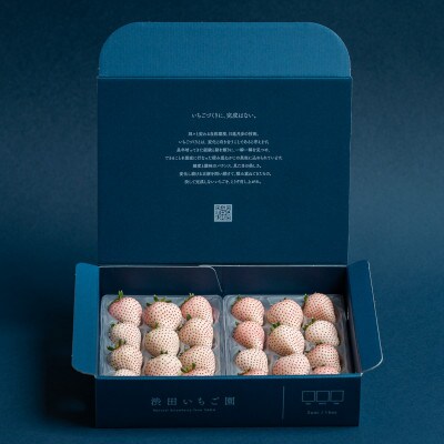 佐賀県産いちご 美白いちご 220g×2パック
