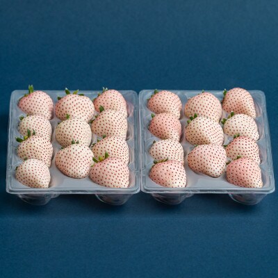 佐賀県産いちご こころの色 220g×2パック