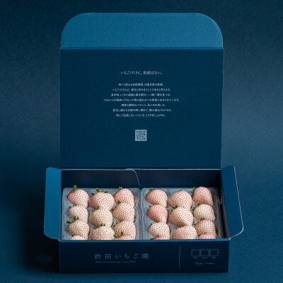 佐賀県産いちご こころの色 220g×2パック