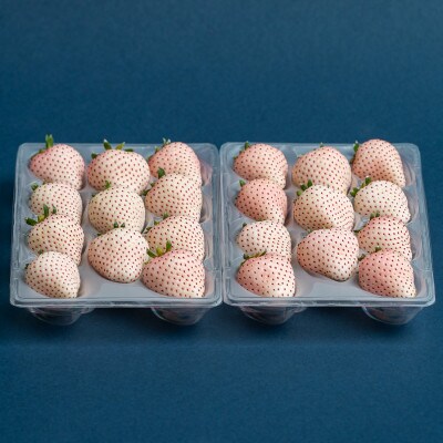 佐賀県産いちご　美白いちご&こころの色　白いちごセット　各220g×1パック
