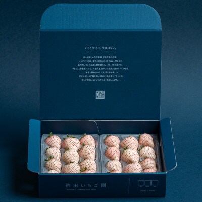 佐賀県産いちご　美白いちご&こころの色　白いちごセット　各220g×1パック