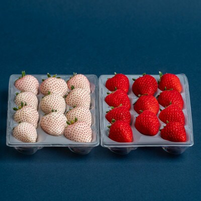 佐賀県産いちご　美白いちご&はるひ　紅白セット　各220g×1パック