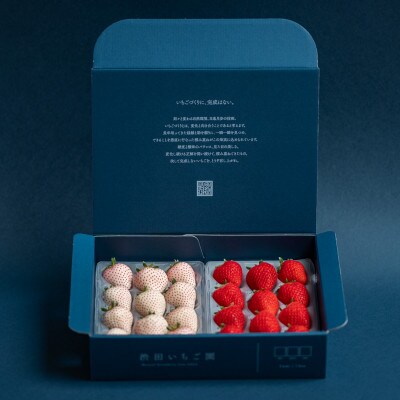 佐賀県産いちご　美白いちご&はるひ　紅白セット　各220g×1パック