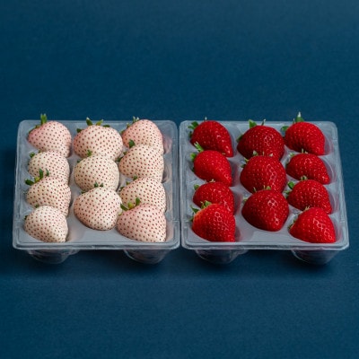 佐賀県産いちご　美白いちご&いちごさん　紅白セット　各220g×1パック