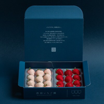 佐賀県産いちご　美白いちご&いちごさん　紅白セット　各220g×1パック