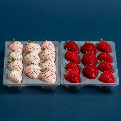 佐賀県産いちご　こころの色&いちごさん　紅白セット　各220g×1パック