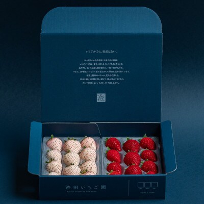 佐賀県産いちご　こころの色&いちごさん　紅白セット　各220g×1パック