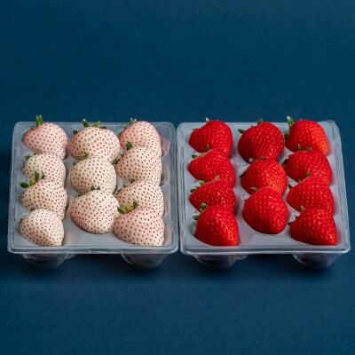 佐賀県産いちご　こころの色&はるひ　紅白セット　各220g×1パック