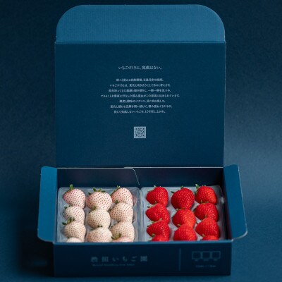 佐賀県産いちご　こころの色&はるひ　紅白セット　各220g×1パック