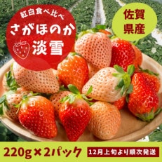 佐賀県産いちご　さがほのか&淡雪　紅白セット | ふるさと納税のお礼品