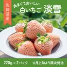 佐賀県産いちご　淡雪(220g×2パック)