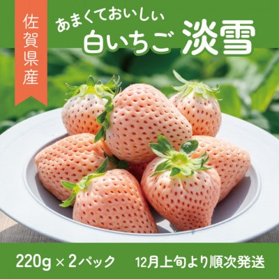 佐賀県産いちご　淡雪(220g×2パック)