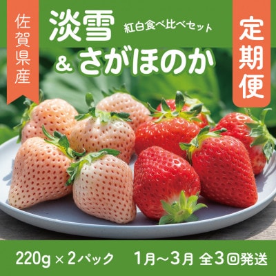 【発送月固定定期便】紅白食べ比べ　さがほのか(220g×1パック)淡雪(220g×1パック)全3回