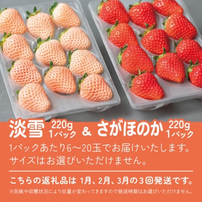 【発送月固定定期便】紅白食べ比べ　さがほのか(220g×1パック)淡雪(220g×1パック)全3回