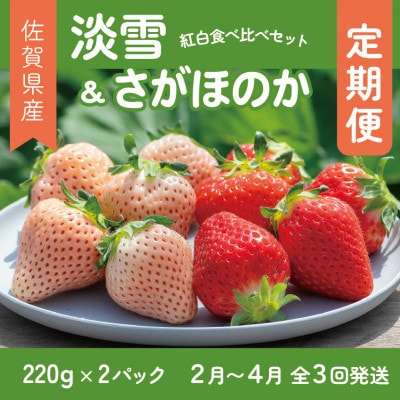【発送月固定定期便】紅白食べ比べ　さがほのか(220g×1パック)淡雪(220g×1パック)全3回