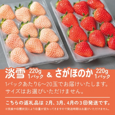 【発送月固定定期便】紅白食べ比べ　さがほのか(220g×1パック)淡雪(220g×1パック)全3回