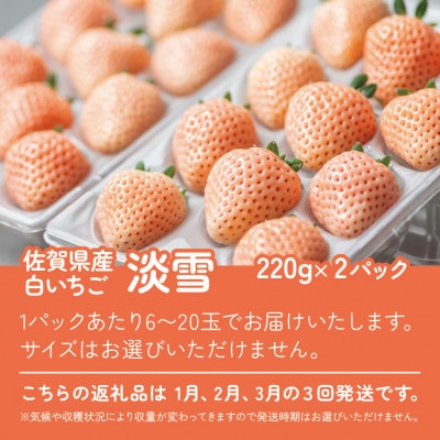 【発送月固定定期便】佐賀県産いちご　淡雪(220g×2パック)全3回