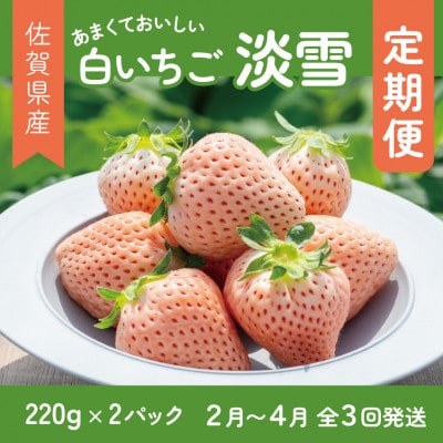【発送月固定定期便】佐賀県産いちご　淡雪(220g×2パック)全3回