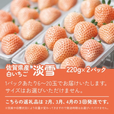 【発送月固定定期便】佐賀県産いちご　淡雪(220g×2パック)全3回