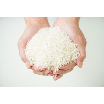 「実り咲かす」佐賀県特別栽培 さがびより 精米2.7kg