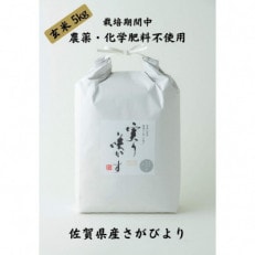 「実り咲かす」 栽培期間中 農薬・化学肥料不使用　さがびより　玄米5kg | ふるさと納税のお礼品