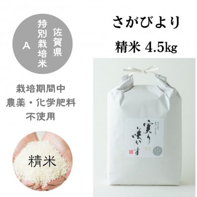 「実り咲かす」栽培期間中　農薬・化学肥料不使用　さがびより　精米4.5kg