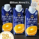 さがみかん100%搾り 12本(佐賀市)