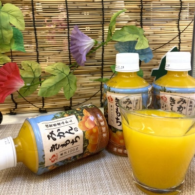 みかんのきもち 48本(佐賀市)