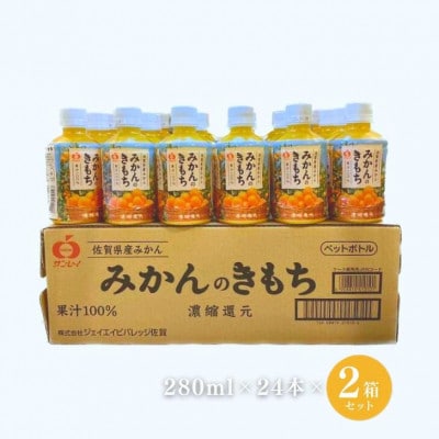 みかんのきもち 48本(佐賀市)