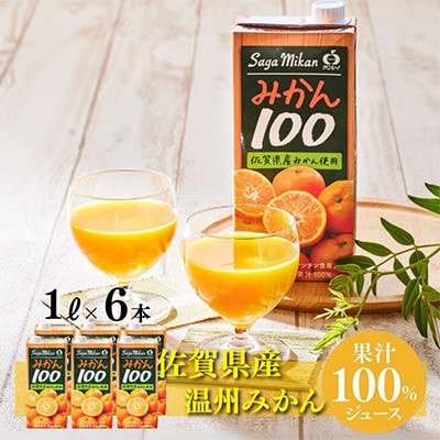 さがみかん100 1L×6本(佐賀市)