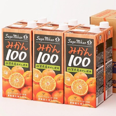 さがみかん100 1L×6本(佐賀市)