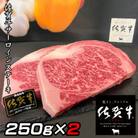 佐賀牛A5 サーロインステーキ　250g×2枚