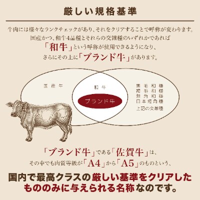 佐賀牛A5 サーロインステーキ　250g×2枚
