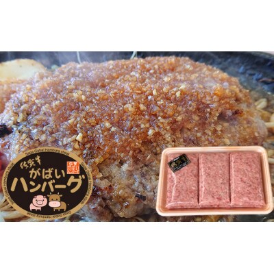 ハンバーグ 150g 10個