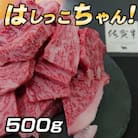 佐賀牛はしっこ焼肉セット500g【ロース　カルビ】