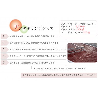 Sila バスパウダー10個セット