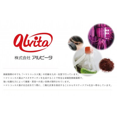 Sila バスパウダー10個セット