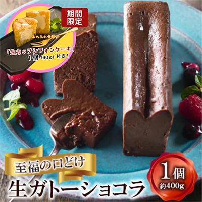 至福の口どけ　生ガトーショコラ+シフォン