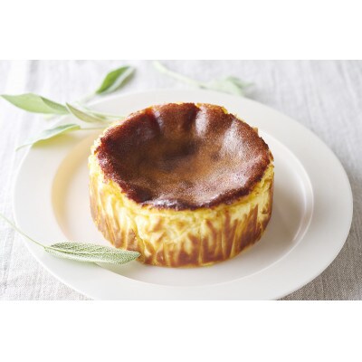 【発送月固定定期便】人気のバスクチーズケーキを偶数月にお届け全6回