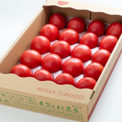 【期間限定】栄養価コンテストでグランプリを受賞した「古賀とまと」