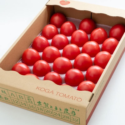 【期間限定】栄養価コンテストでグランプリを受賞した「古賀とまと」